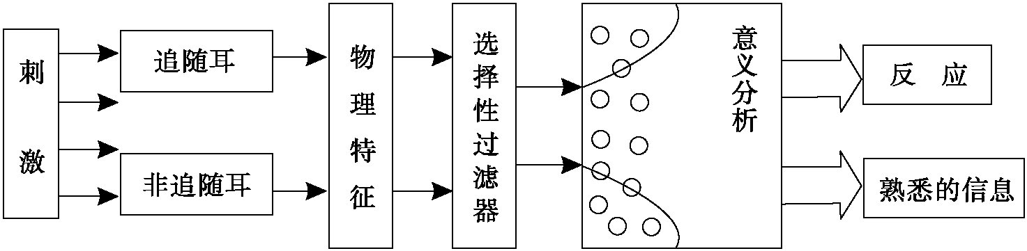 二、注意的理论